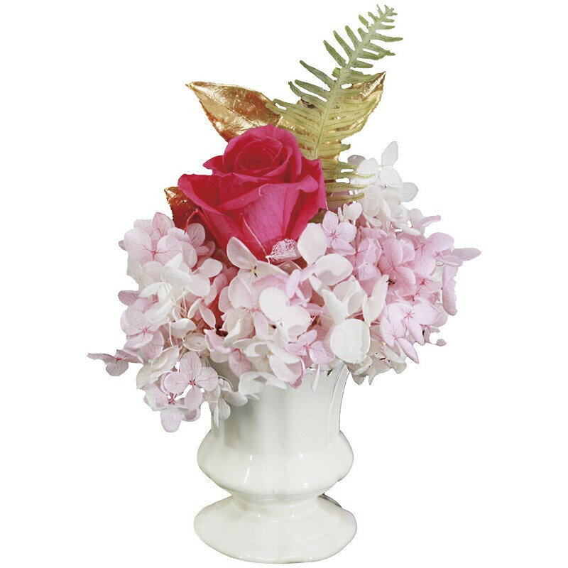  ԥ ץꥶ֥ɥե ե £ʪ ˤ  渵 ץ쥼    渵 £   Τ ֤ ...