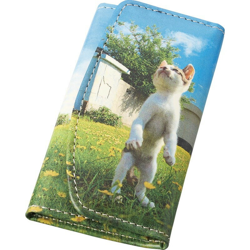  Ωǭ ˾Ωǭ ե £ʪ ˤ  渵 ץ쥼    渵 £   Τ ֤ ˤ ...