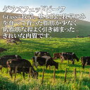 牛すじ 1000g オーストラリア産 ニュージーランド産 スジ肉 ミスジ カレー 牛すじ煮込み どて焼き どて煮 ビーフシチュー 牛スジ カレー コラーゲン 低カロリー 1kg 1キロ 29日　肉の日　 業務用 グラスフェッドビーフ 2