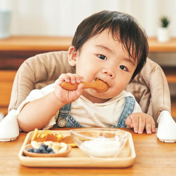 エジソンママ　木製カトラリーセット ギフト 贈り物 お祝い お歳暮 お中元 プレゼント 御礼 お礼 御歳暮 御中元 贈答品 粗品 熨斗 のし お返し 内祝い 快気