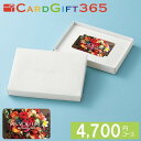カードギフトAYL 4,700円コース宅配無料 ギフト 贈り物 お祝い お歳暮 お中元 プレゼント 御礼 お礼 御歳暮 御中元 贈答品 粗品 熨斗 のし お返し 内祝い 快気