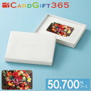 カードギフトAYL 50,700円コース宅配無料 ギフト 贈り物 お祝い お歳暮 お中元 プレゼント 御礼 お礼 御歳暮 御中元 贈答品 粗品 熨斗 のし お返し 内祝い 快気
