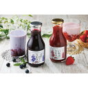 【お買い物マラソン限定クーポン配布中】 ICHIBIKO いちごミルクのもとギフトセット ICHIBIKO ギフト 贈り物 お祝い お歳暮 お中元 プレゼント ...