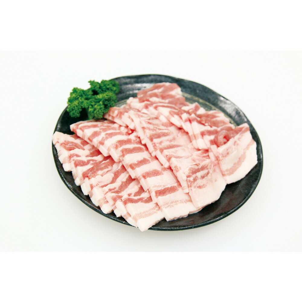 製品品番・0130443産地宮崎商品説明宮崎の自然が育てた、カラダよろこぶフレッシュポーク「日南もち豚」。SPF(Specific Pathogen Free)とは、あらかじめ指定された病原体を持たないという意味です。生産現場で高度な衛生管理をすることで、臭みがなく、軟らかくて美味しい豚肉生産を可能にしました。内容量500g賞味期限90日（製造日も含む）贈り物としてもご利用頂けます・大切な人やお返しプレゼントお父さん お母さん 兄弟 姉妹 子供 おばあちゃん おじいちゃん 奥さん 嫁 父 母 兄 弟 姉 妹 孫 お子様 祖父 祖母 祖父母 叔父 叔母 伯父 伯母 母親 父親 ママ パパ 友人 友達 親友 両親 妻 夫 旦那 先生 師匠 職場 先輩 後輩 部下 上司 同僚 男性 女性 義母 義父 恩師 恩人　　　　　　　　　　　　　　　　　　　　　　　　　　洋菓子　　和菓子　　お肉　　　　　　　　　　　　　　　　　　　　　　　　　　　麺類　　中華　　どんぶり　　　　　　　　　　　　　　　　　　　　　　　　　　　洋食　　ブランド米　　ギフト商品　