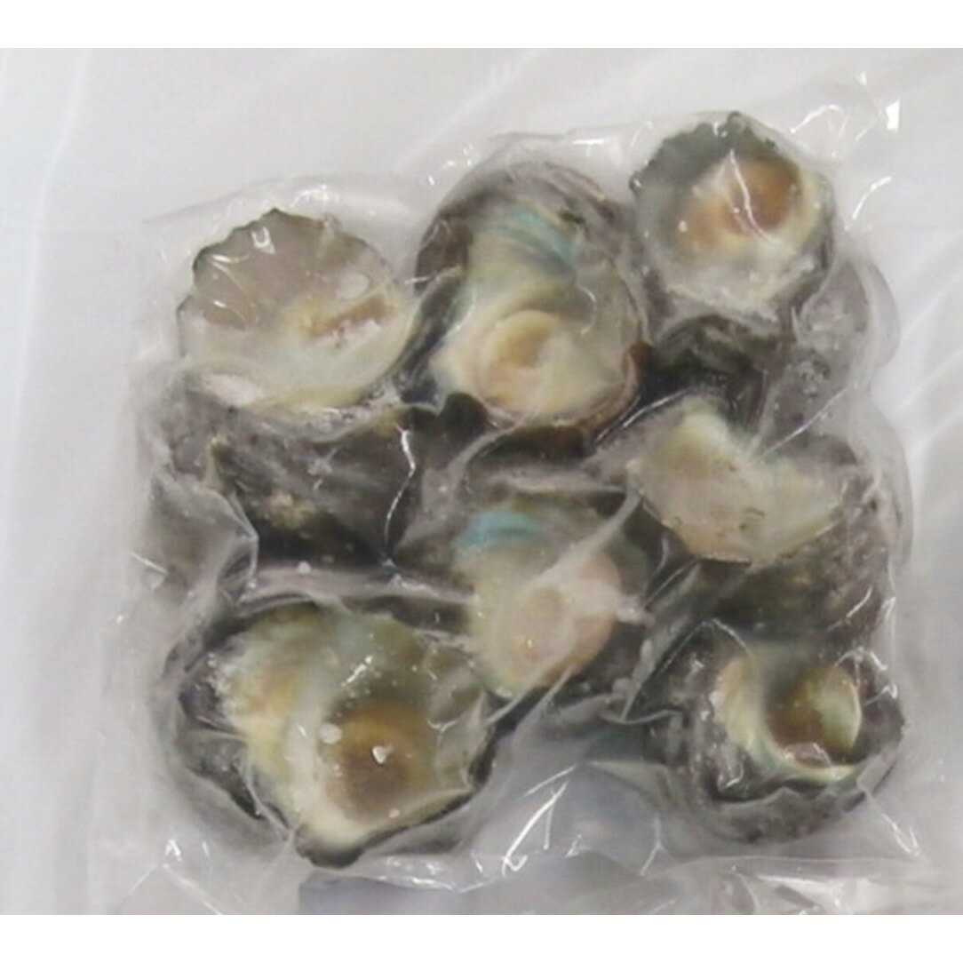 冷凍サザエ 600g(6〜8個) 徳島県産天然さざえ 美味しい グルメ 手土産 差し入れ お土産 人気 ギフト おいしい プレゼント 保存食 有名 食べ比べ 景品 賞品 コンぺ 二次会