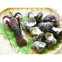 徳島 天然伊勢海老と天然サザエ詰合せ 美味しい グルメ 手土産 差し入れ お土産 人気 ギフト おいしい プレゼント 保存食 有名 食べ比べ 景品 賞品 コンぺ 二次会