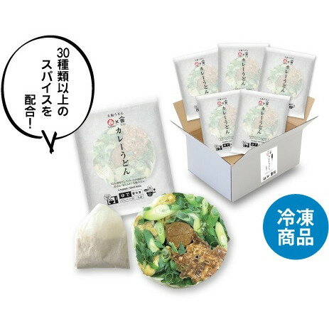 冷凍大阪うどん　カレーうどん5食セットのサムネイル