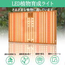 植物育成ライト 5m 2個セット LED植物用 LEDテープライト 植物成長促進 光合成 促進 防水 USB対応 LEDテープ 植物育成ランプ 家庭菜園 室内園芸 野菜 SODATU