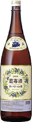 藍苺酒 ブルーベリーのお酒 14度 500ml キリン 箱なし 【 リキュール お酒 カクテル 果実酒 洋酒 ベリー イチゴ いちご ストロベリー 手土産 酒 麒麟 フルーツリキュール お祝い ギフト 誕生日 飲み物 母の日 母 父 父の日 お父さん 】【ワインならリカオ―】