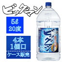 【合同】ビッグマン 20% 5000ml(5L)×4本