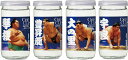 【大関】上撰ワンカップ 大相撲ラベル 180ml×12本(4種各3本)