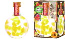 【豊幸園】不思議なフルーツ マンゴー 箱入り 300ml