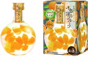 【豊幸園】不思議なフルーツ みかん 箱入り 300ml