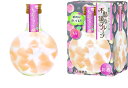 【豊幸園】不思議なフルーツ もも 箱入り 300ml