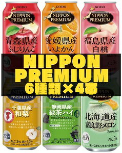 【合同】NIPPON PREMIUM　ニッポンプレミアム　よくばりパック　6種類×各4本(24本) 2