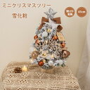クリスマスツリー 卓上 45cm 雪化粧 ミニツリー クリスマス飾り 常時点灯/点滅ライト 雪付きクリスマスツリー 暖かい 簡単な組立品 LEDイルミネーション...