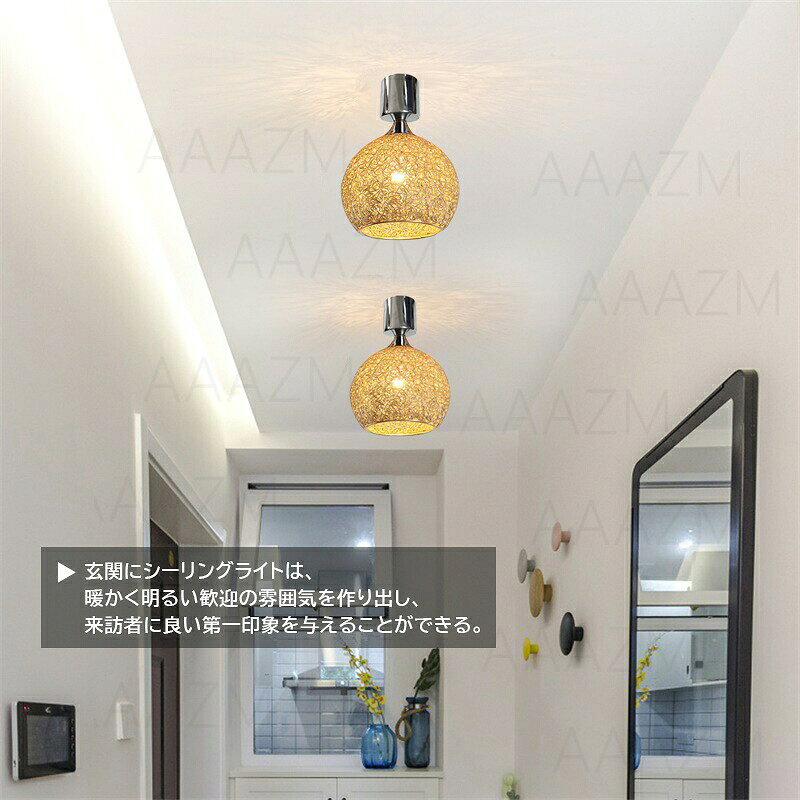 シーリングライト 北欧 LED対応 6畳 おしゃれ 金属籐 ボール 丸型 透かし 和風 天井照明器具 リビング 玄関 ダイニング 廊下 キッチン 寝室 天井ライト 直付け AAAZM 室内照明 和室 トイレ ベッドルーム 居間 洋室 レストラン インテリア 間接照明 ルームライト 小型 [2]