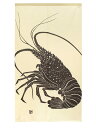 暖簾 のれん 85x150cm「伊勢海老」95116 日本製 間仕切り カーテン タペストリー 目隠し 玄関 階段 洗面所 キッチン 台所 部屋 仕切り 棚 パ...