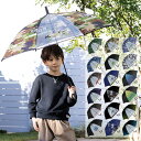 傘 こども キッズ アンブレラ 透明窓 まとめ買い 55cm 小学生男の子 小学生 中学生 キッズ傘 子ども用 雨傘 かさ BOY お得 透明 窓あり ジャンプ...