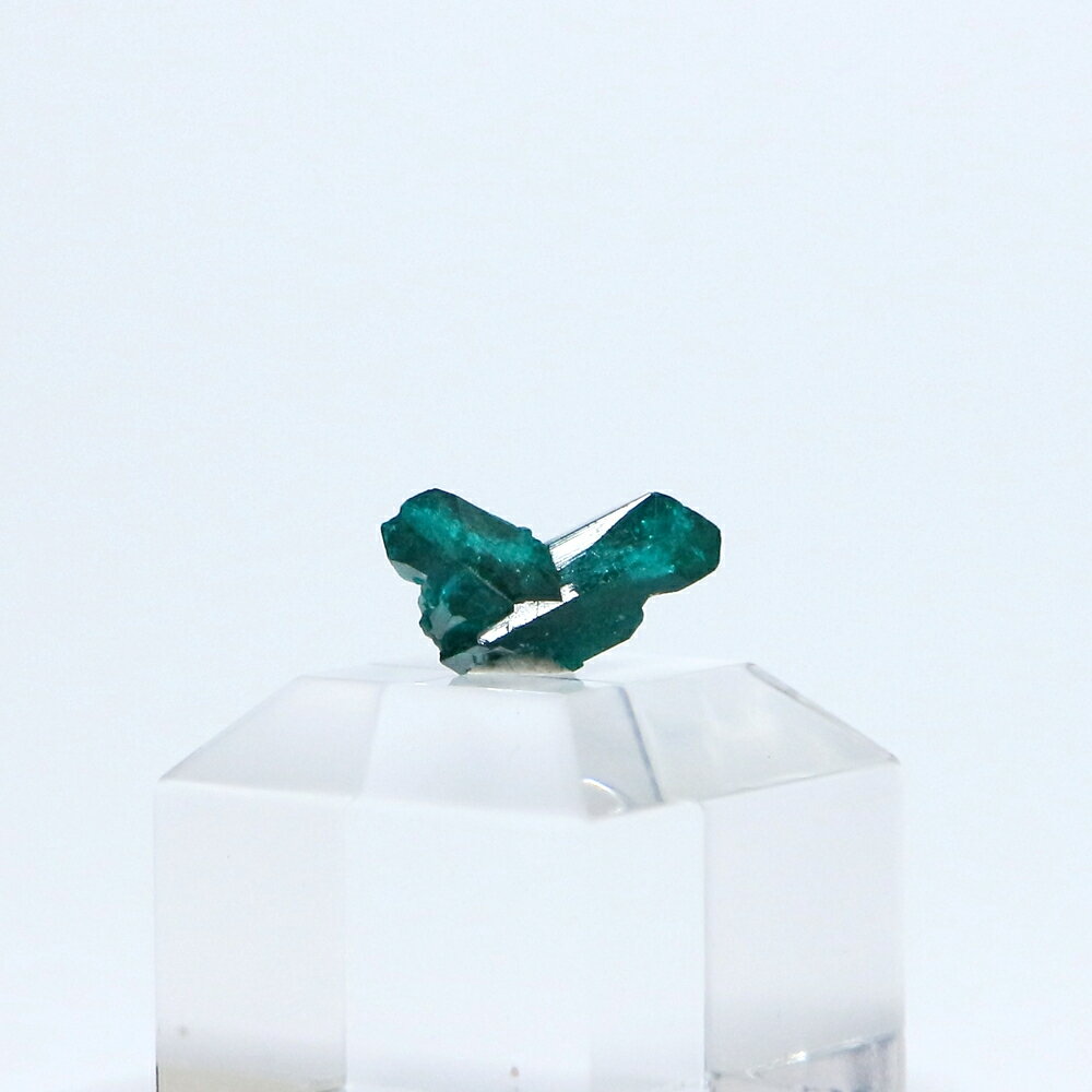  一点物 ダイオプテーズ（翠銅鉱）原石 / コンゴ共和国産 台座付き