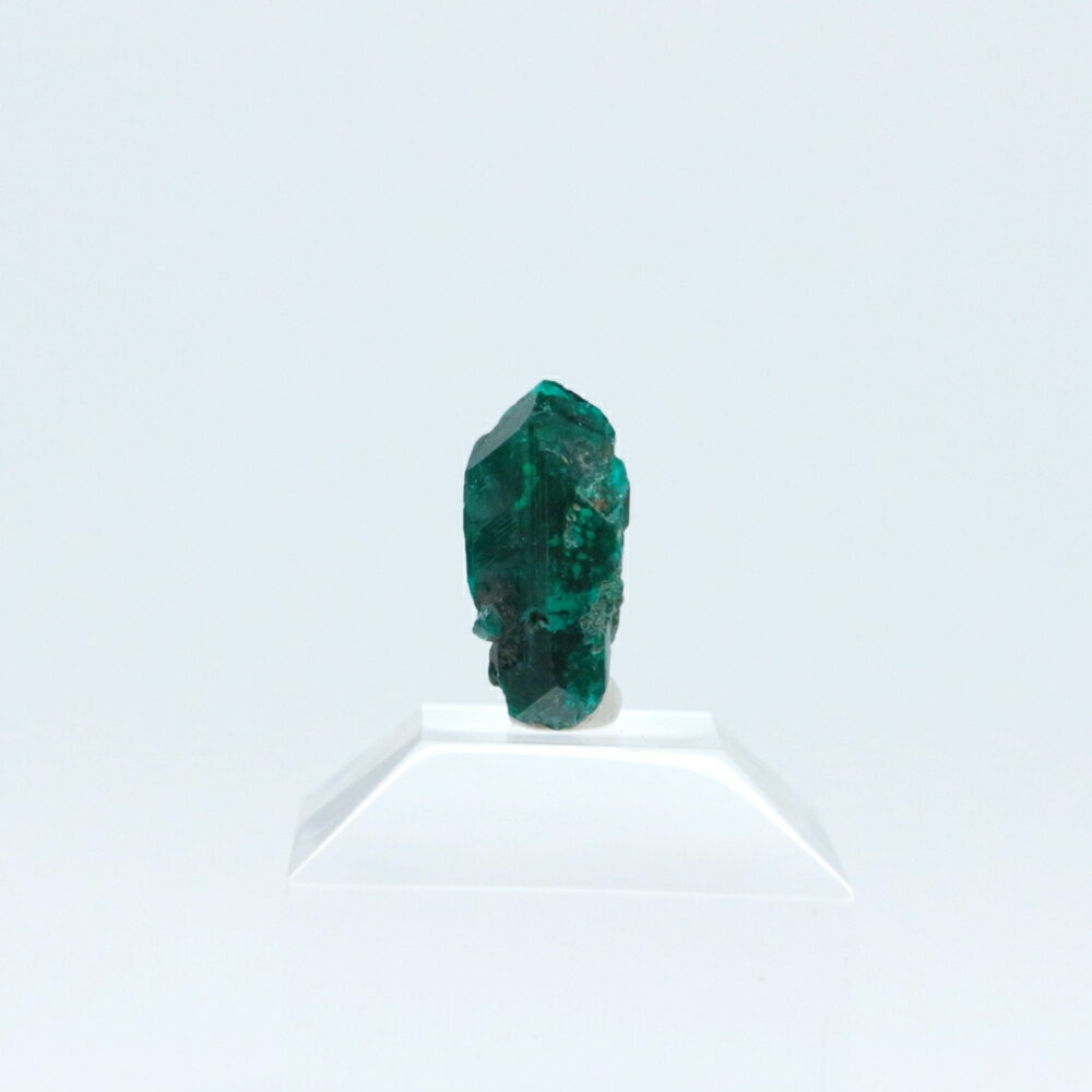  一点物 ダイオプテーズ（翠銅鉱）原石 / コンゴ共和国産 台座付き