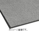 【代引き不可商品】【時間指定不可】TERAMOTO/テラモト ニュートレビアン 灰 450×750 MR-034-220-5