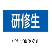 【追跡可能メール便可】緑十字／(株)日本緑十字社 ピンレスゴム腕章 研修生 95mm幅×腕まわり300mm Sサ..