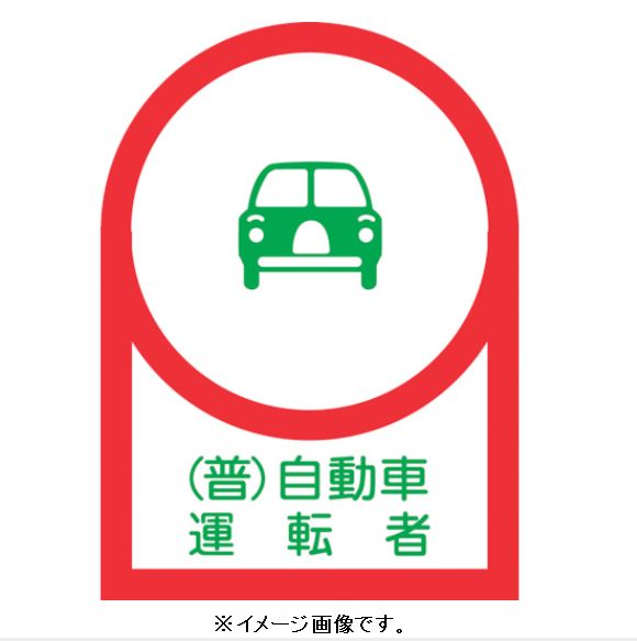 �����ײ�ǽ�᡼���زġ��н���/(��)�����н����� �إ��å��ѥ��ƥå��� ����˼�ư�ֱ�ž�� 35��25mm 10��1�� HL-38 233038