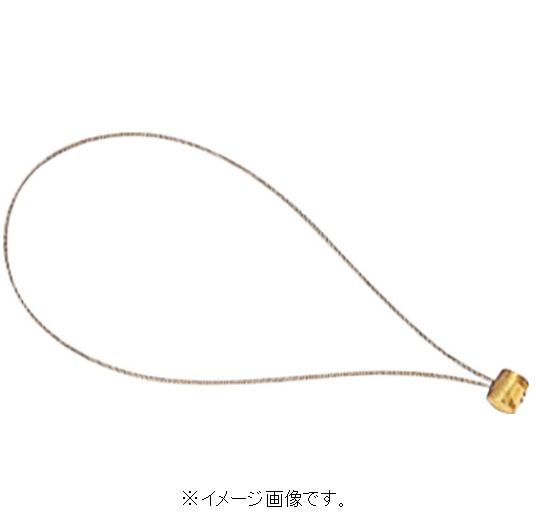 【スーパーSALE期間ポイント5倍】【追跡可能メール便可】タジマ/(株)TJMデザイン 安全ロープ用 工具接続ワイヤー AZ-WIR