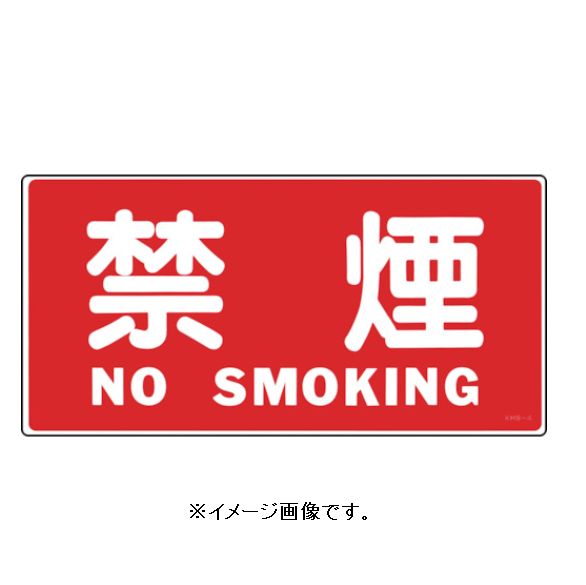Rakuten - 緑十字/(株)日本緑十字社 消防・危険物標識 禁煙・NOSMOKING 250×500mm エンビ KHS-4 056040