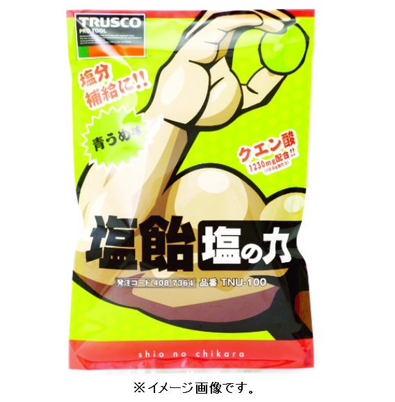 【熱中症対策に！】TRUSCO／トラスコ中山(株) 【※軽税】塩飴 塩の力 100g袋入 青梅...
