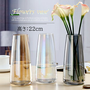 【在庫処分～1500円価格均一】花瓶 ガラス 北欧 フラワーベース 22cm 一輪挿し 透明 生花 花びん おしゃれ 円柱 無鉛ガラス VASE シンプル モダン インテリア リビング 寝室 玄関 花器 結婚祝い 出産祝い 誕生日祝い 引越祝い 新築祝い