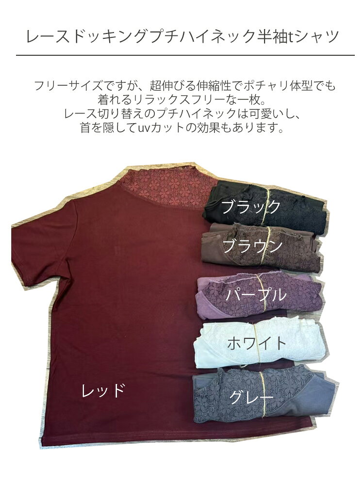 【夏再販！1点2880円！】半袖 tシャツ プチハイネック レディース tシャツ Tシャツ...