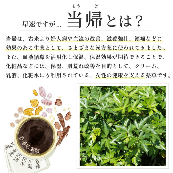 �ڳ�ŷ��󥭥����ޡ������դΤ�⤮���� 8��ʬ ��⤮���� ���� ���� ������ ������Ϥ ���� ������Ϥ ���������� ����� ���ե� �Х����å� �������� ��⤮���� ���� ������ �Ȥ��� �ȥ��� ð������ ��⥮���� �ϡ��־��� ������ �������� ������ �ǥȥå��� ����