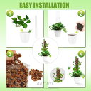モスポール 支柱 4本セット60cm 連結可 観葉植物 モンステラ プラスチック 園芸 植物サポート ホワイト(4)