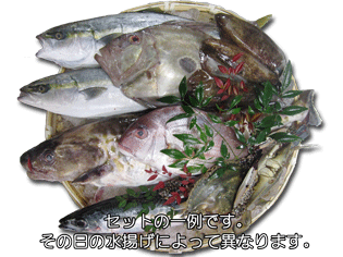 楽天市場 天然のいけす 富山湾氷見漁港 旬の鮮魚セット 8000円 氷見の鮮魚 角安商店 みんなのレビュー 口コミ