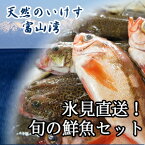 天然のいけす 富山湾氷見漁港 旬の鮮魚セット 4000円