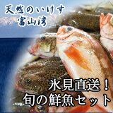 天然のいけす 富山湾氷見漁港 旬の鮮魚セット 4000円