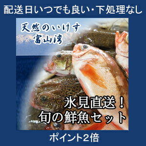 【※配送日指定不可】天然のいけす 富山湾氷見漁港 旬の鮮魚セット