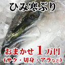 【送料無料】ひみ寒ぶり 氷見 天然 寒ブリ おまかせ1万円 （サク・切り身・あら など）