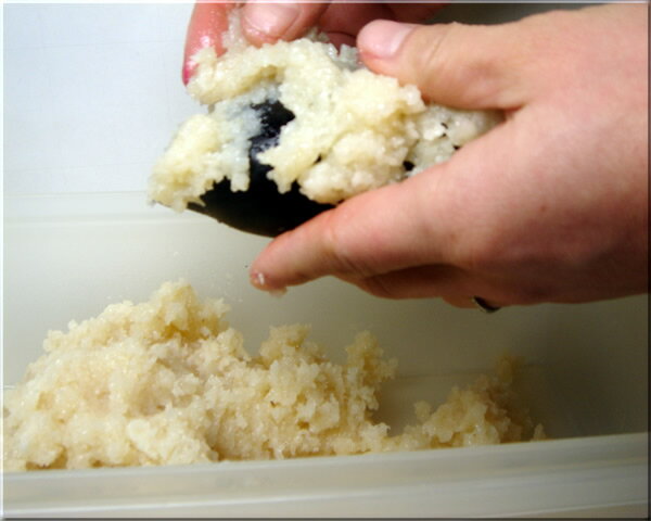 塩と麹（こうじ）の三五八漬の素　（量り売り）　キロ売り米麹乾燥贅沢生酵素！