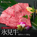 【当店イチオシ】富山の名産A5ランク 最高級氷見牛焼肉セット 500g 氷見の名産・海産物ギフトのまるなか屋 gift-500g