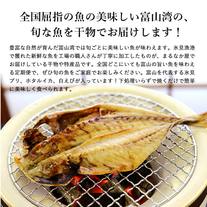 【送料無料！定期便】『氷見産干物と越中〜能登漁港のうまいもん』紀行（干物/海産物/海の幸/酒の肴/珍味/魚）