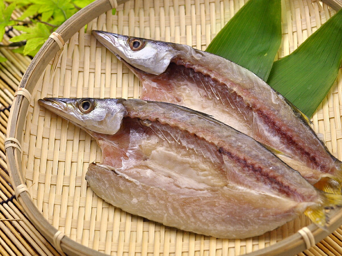 カマス開き( 贈り物 ギフト おつまみ いか 干物 海産物 海の幸 酒の肴 珍味 魚 産地直送 プレゼント ) 氷見の名産・海産物ギフトのまるなか屋 H-018 3