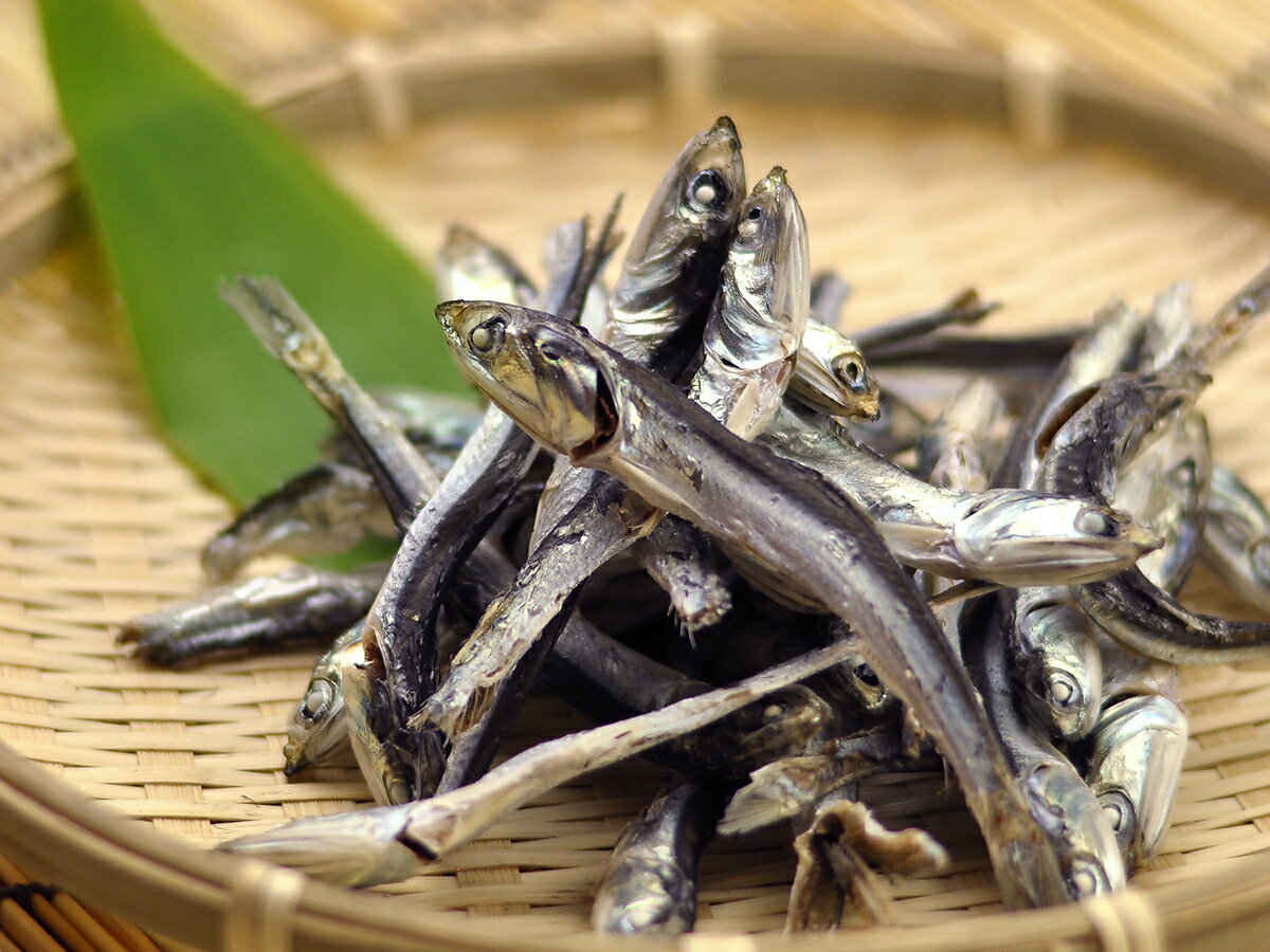 煮干（片口イワシ）( 贈り物 ギフト おつまみ いか 干物 