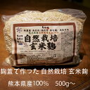 新米無肥料(無化学・無有機)・無農薬・無除草剤【自然栽培玄米こうじ500g】・熊本県産または福岡県産の自然栽培玄米100%使用 無施肥 オーガニック【蔵元直販】...