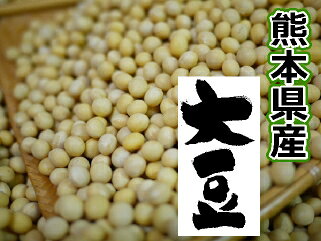 熊本県産の地大豆1kg〜量売り himikoshouin-10000085 卑弥呼醤院 サンプル画像2
