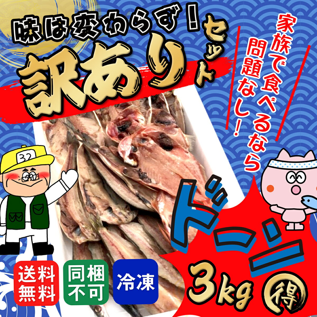 干物 訳ありセット 約3kg 種類品数職人におまかせ 干物セ