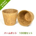 パームポットCP-120 内径12cm 高さ10cm 底径8cm【お得な100個セット】| ヤシ パーム 花 野菜 緑化木 育成 フラワーアレンジメント ガーデニング 通気性 保温性 天然 エコ