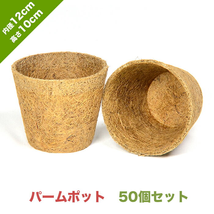 パームポットCP-120 内径12cm 高さ10cm 底径8cm【お得な50個セット】| ヤシ パーム 花 野菜 緑化木 育..